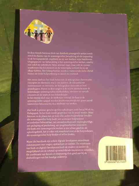 9789006951905-Basisboek-Systeemgericht-werken