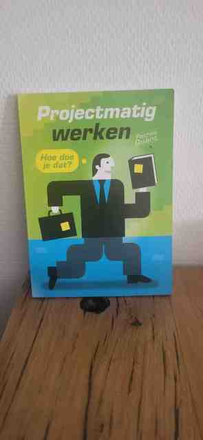 9789058713773-Projectmatig-werken