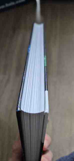 9789462762824-Strategisch-managen-in-turbulente-tijden