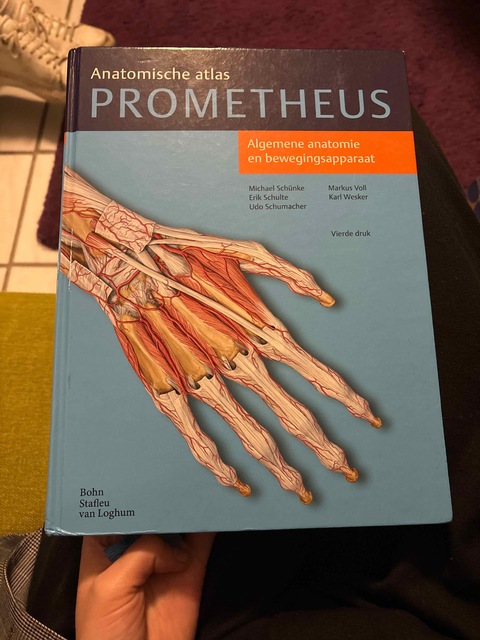 9789036815383-Algemene-anatomie-en-bewegingsapparaat