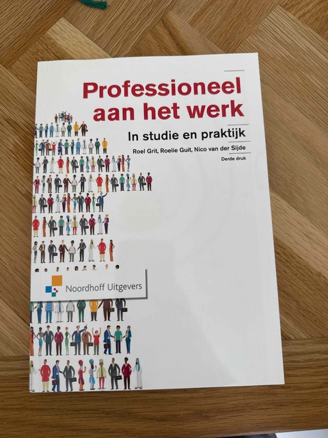 9789001853303-Professioneel-aan-het-werk