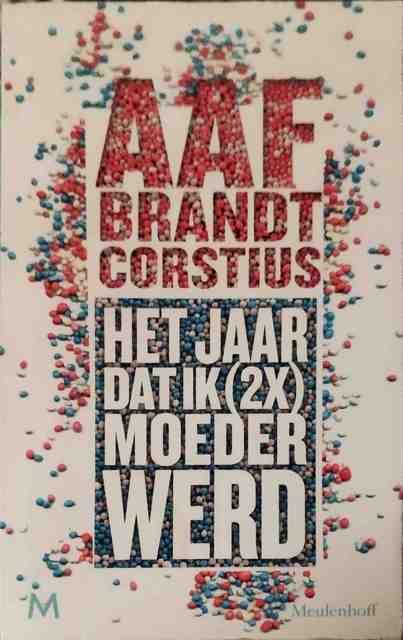 9789029093057-Het-jaar-dat-ik-2x-keer-moeder-werd