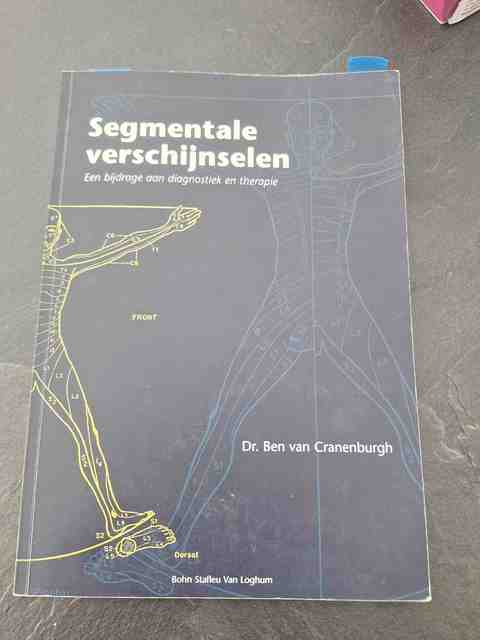 9789031343188-Segmentale-verschijnselen