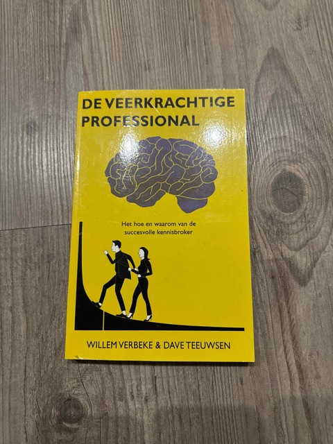 9789492004659-De-veerkrachtige-professional