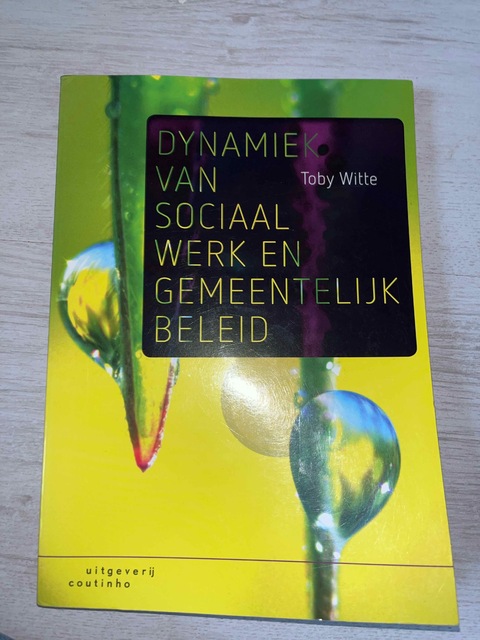 9789046906873-Dynamiek-van-sociaal-werk-en-gemeentelijk-beleid
