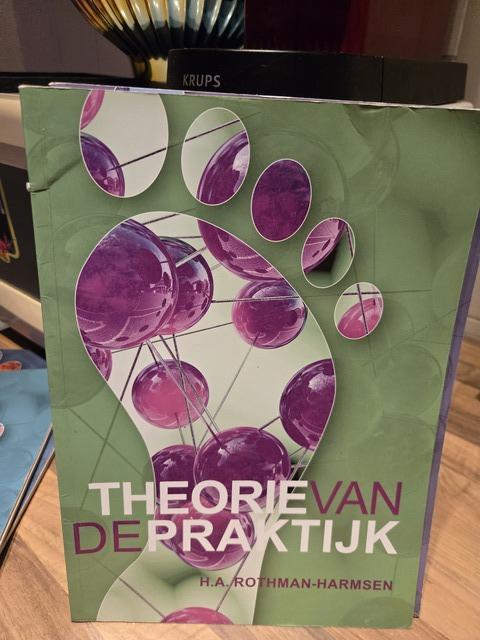 9789082161045-Theorie-van-de-praktijk