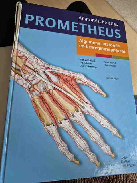 9789031379347-Algemene-anatomie-en-bewegingsapparaat