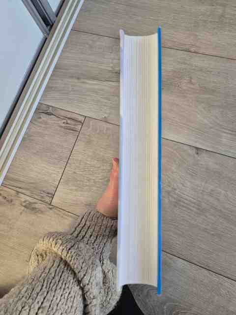 9789035234796-Implementatie