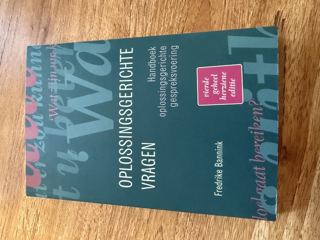 9789043036566-Oplossingsgerichte-vragen