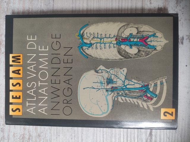 9789041403148-Sesam-atlas-van-de-anatomie-2-Inwendige-organen-druk-13