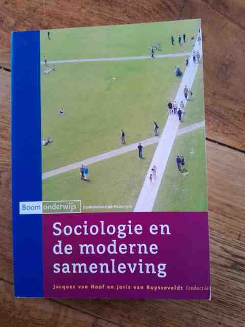 9789053522899-Sociologie-en-de-moderne-samenleving
