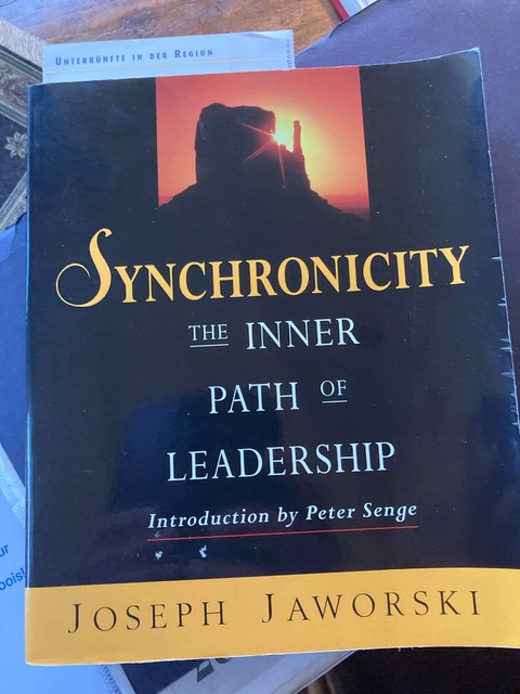 9781576750315-Synchronicity