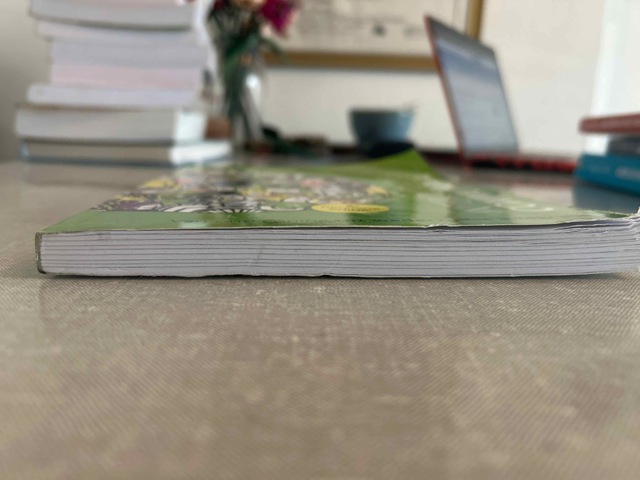 9789023256878-Interculturele-communicatie