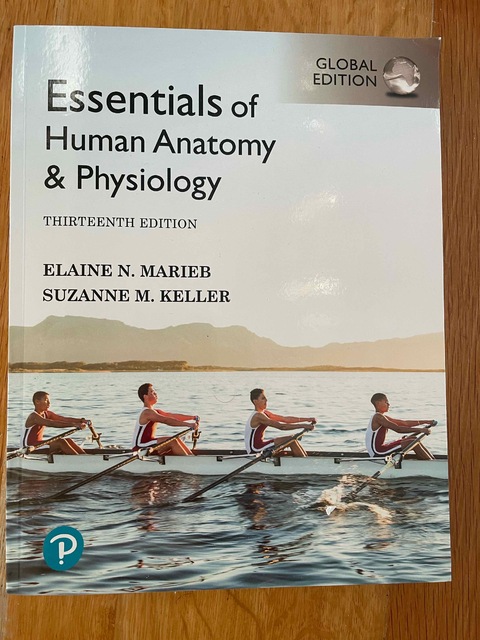 9781292401942-Essentials-of-Human-Anatomy-Physiology-Global-Edition