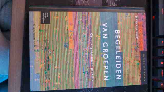 9789031347315-Begeleiden-van-groepen