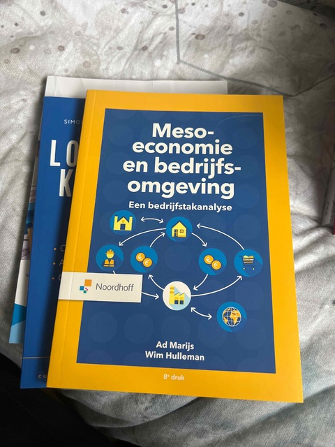 9789001010584-Meso-economie-en-bedrijfsomgeving