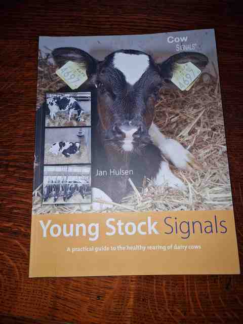9789087402440-young-stock-signals