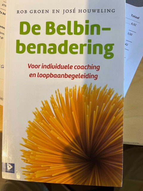 9789462201323-De-Belbin-benadering