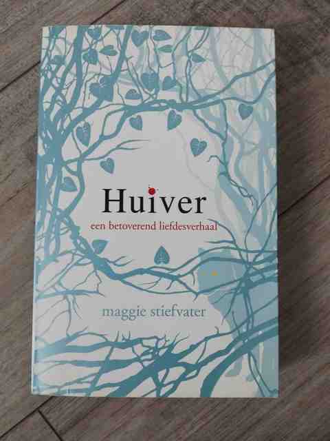 9789048802531-Huiver