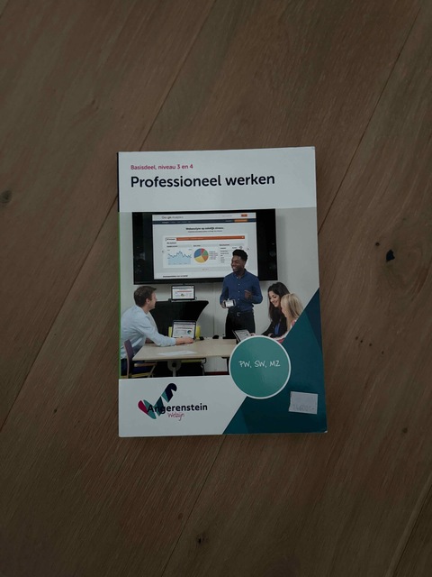 9789037223637-Professioneel-werken