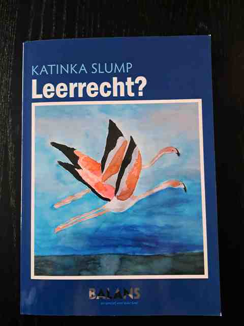 9789083030609-Leerrecht