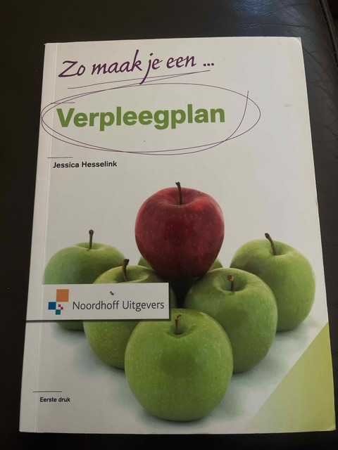 9789001804961-Zo-maak-je-een-verpleegplan