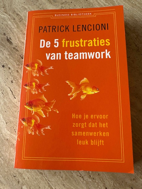 9789047001966-De-5-frustraties-van-teamwork
