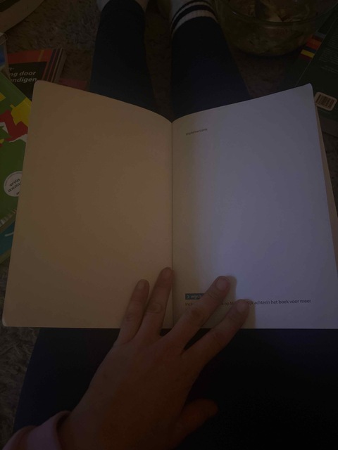 9789036817318-Implementatie