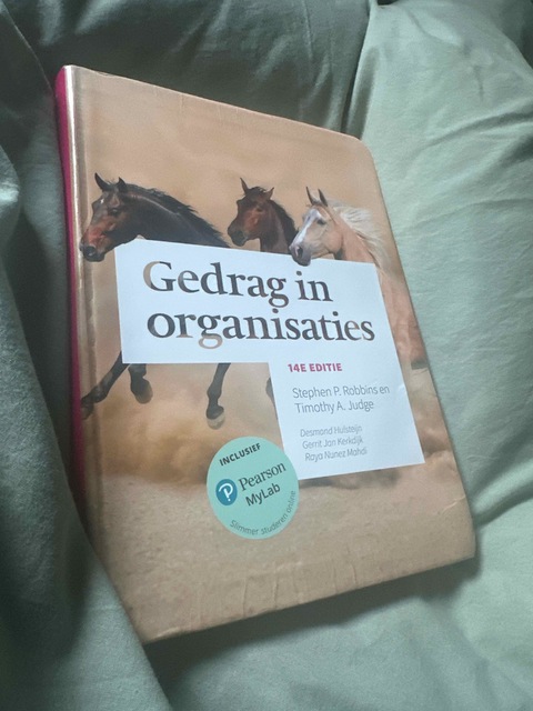 9789043037204-Gedrag-in-organisaties