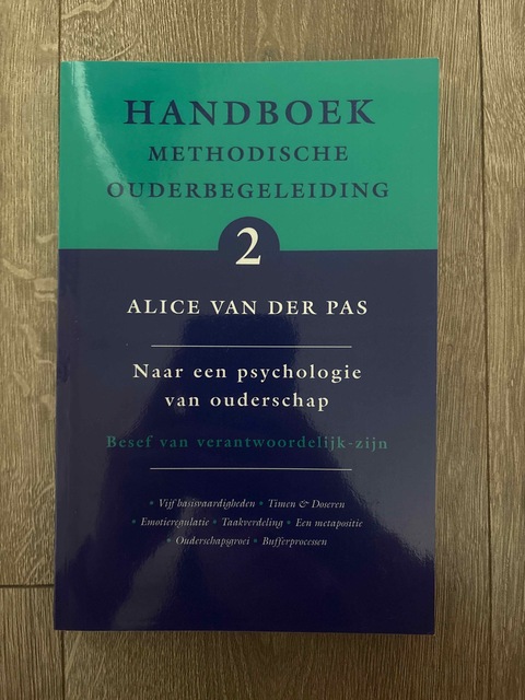 9789066657816-Handboek-Methodische-Ouderbegeleiding-2-naar-een-psychologie-van-ouderschap