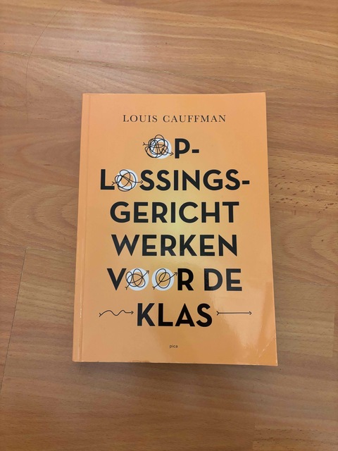 9789493209480-Oplossingsgericht-werken-voor-de-klas