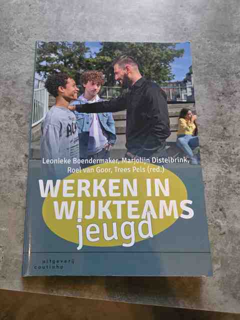 9789046908129-Werken-in-wijkteams-jeugd