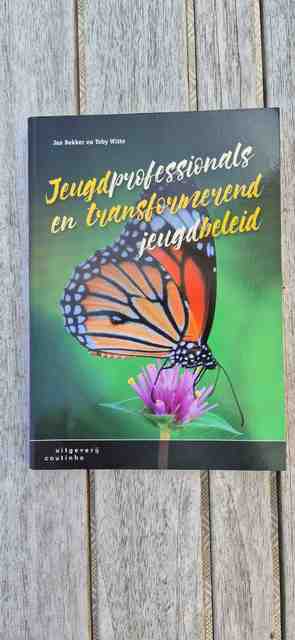 9789046905708-Jeugdprofessionals-en-transformerend-jeugdbeleid