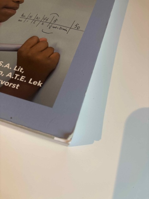 9789001994440-Wiskunde-in-de-praktijk--Kerninzichten