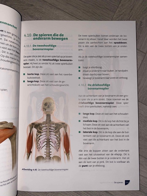 9789083181646-Anatomie-en-fysiologie-mbo-niveau-3