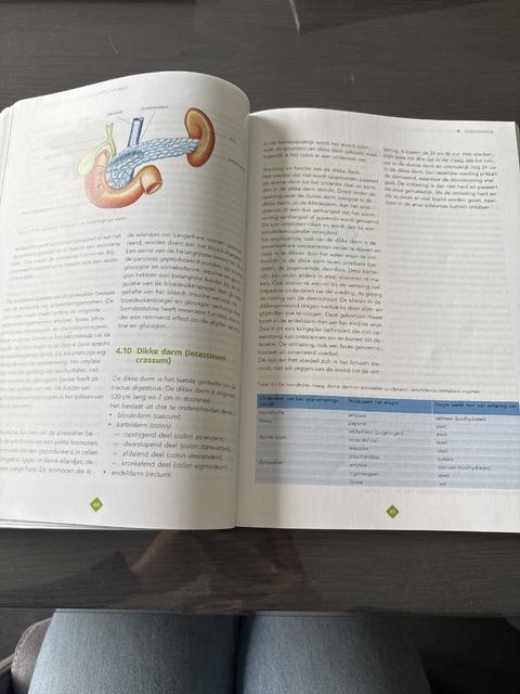 9789006910315-Persoonlijke-basiszorg-1-niveau-4