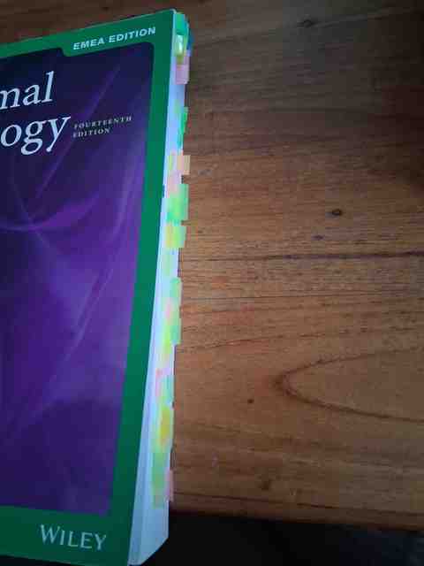 9781119586302-Abnormal-Psychology