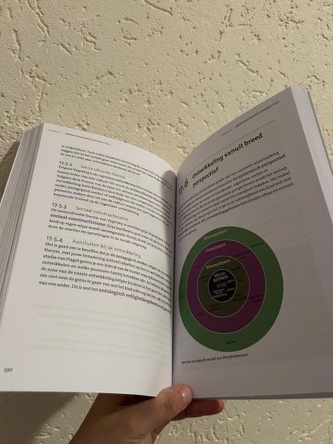 9789037257342-Pedagogisch-werk-2-Niveau-3-en-4