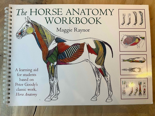 9780851319056-Horse-Anatomy-Workbook