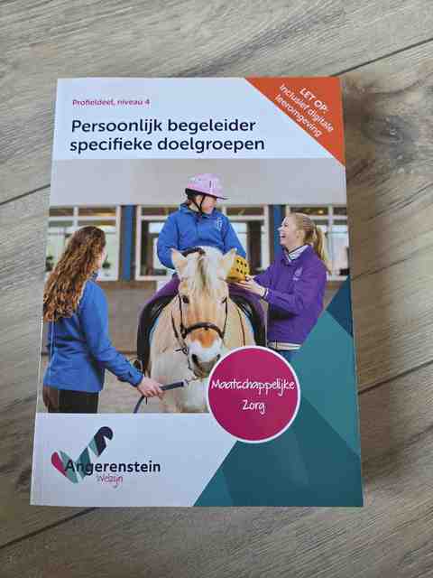 9789037229653-Persoonlijk-begeleider-specifieke-doelgroepen