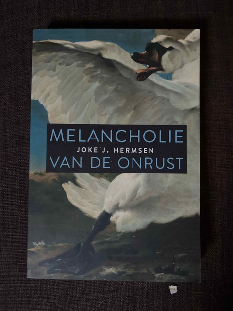 9789047709534-Melancholie-van-de-onrust