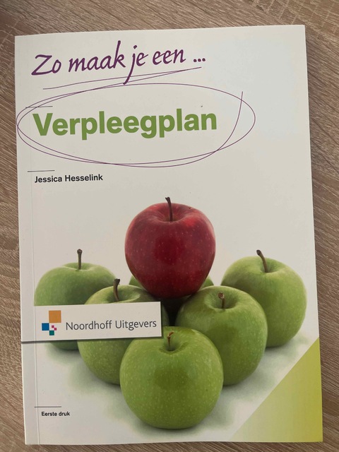 9789001804961-Zo-maak-je-een-verpleegplan