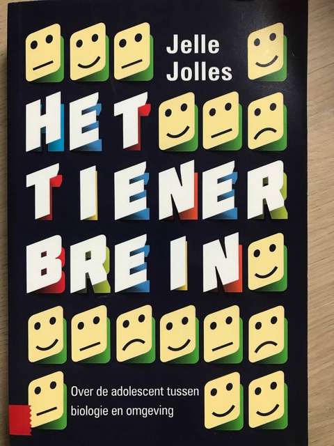 9789462983984-Het-tienerbrein