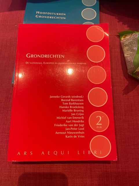 9789492766939-Grondrechten