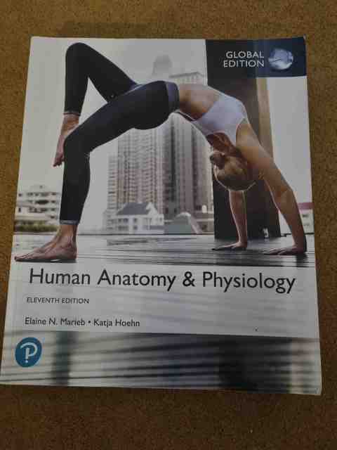 9781292260853-Human-Anatomy-Physiology-Global-Edition
