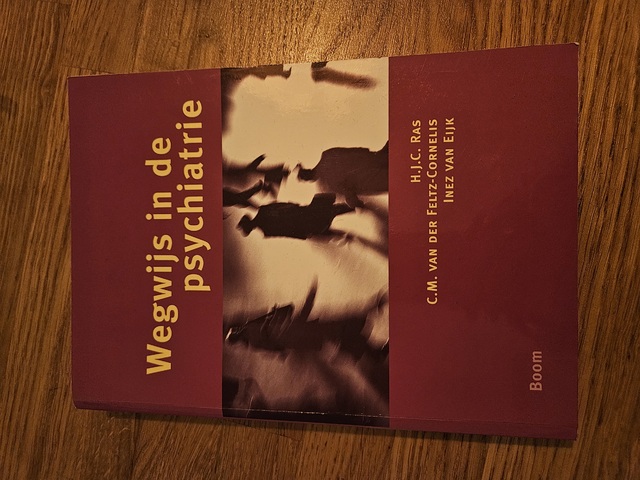 9789053526330-Wegwijs-in-de-psychiatrie