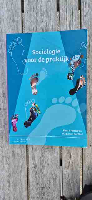 9789046905203-Sociologie-voor-de-praktijk