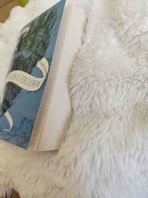 9789021048918-De-spiegelpassante-1--De-ijzige-verloofde-Stichting-Jarige-Job-2024