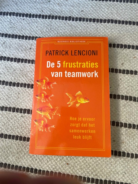 9789047001966-De-5-frustraties-van-teamwork