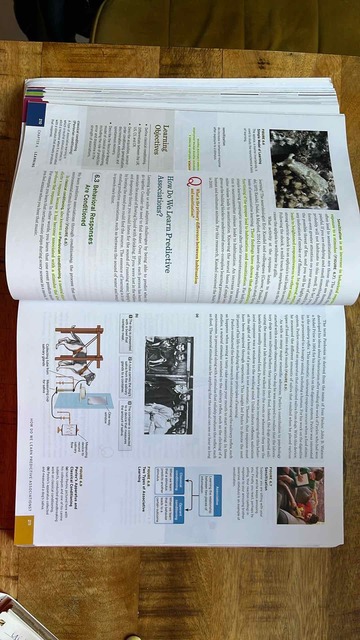 9780393640403-Gazzaniga-M-Psychological-Science